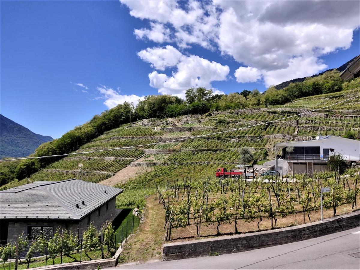 B&B Il Germoglio Castione Andevenno Bagian luar foto